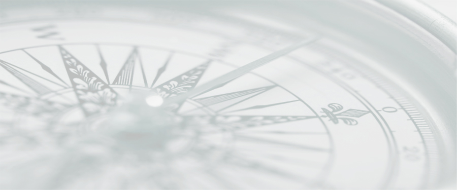 Opus Advisory Partners